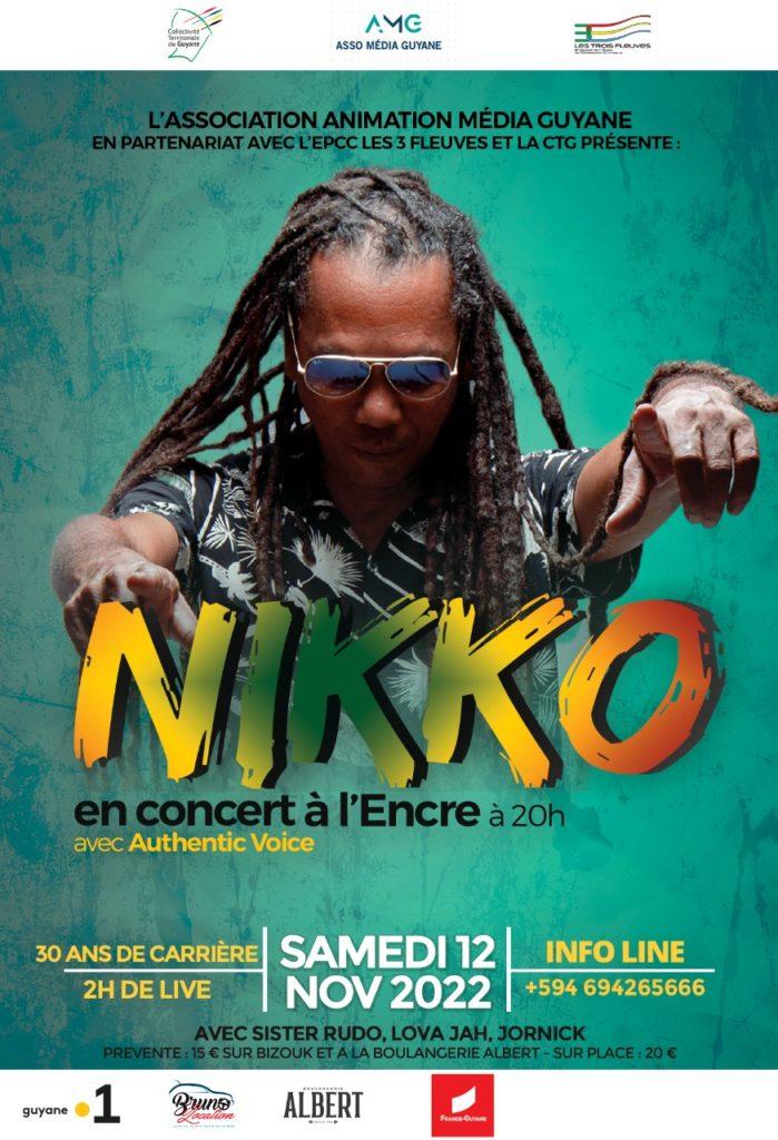 Nikko en Concert à l'Encre